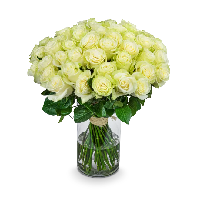 Bouquet of white roses